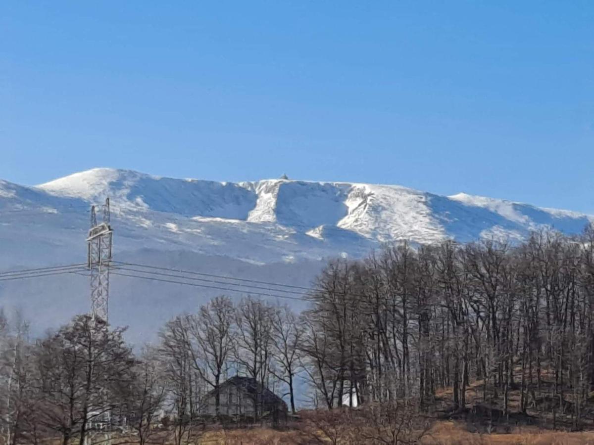 Pokoje Goscinne Karkonosze Wojcieszyce Kültér fotó